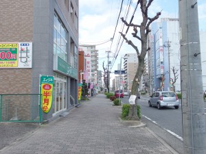 IMGP4071