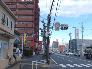 IMGP4082b