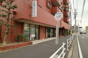 IMG_1000lite