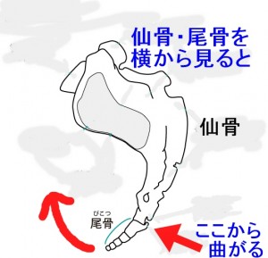 763596c